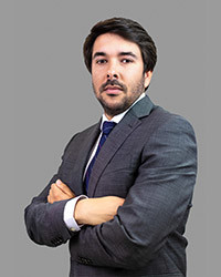 Guillermo Arenere Ruiz lawyer