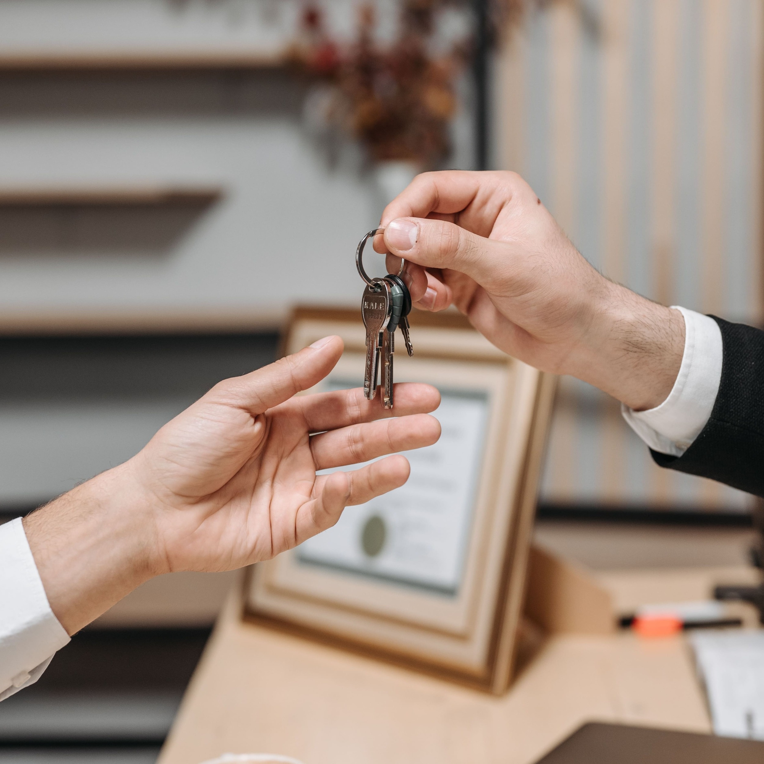 Specialized Property Transfers